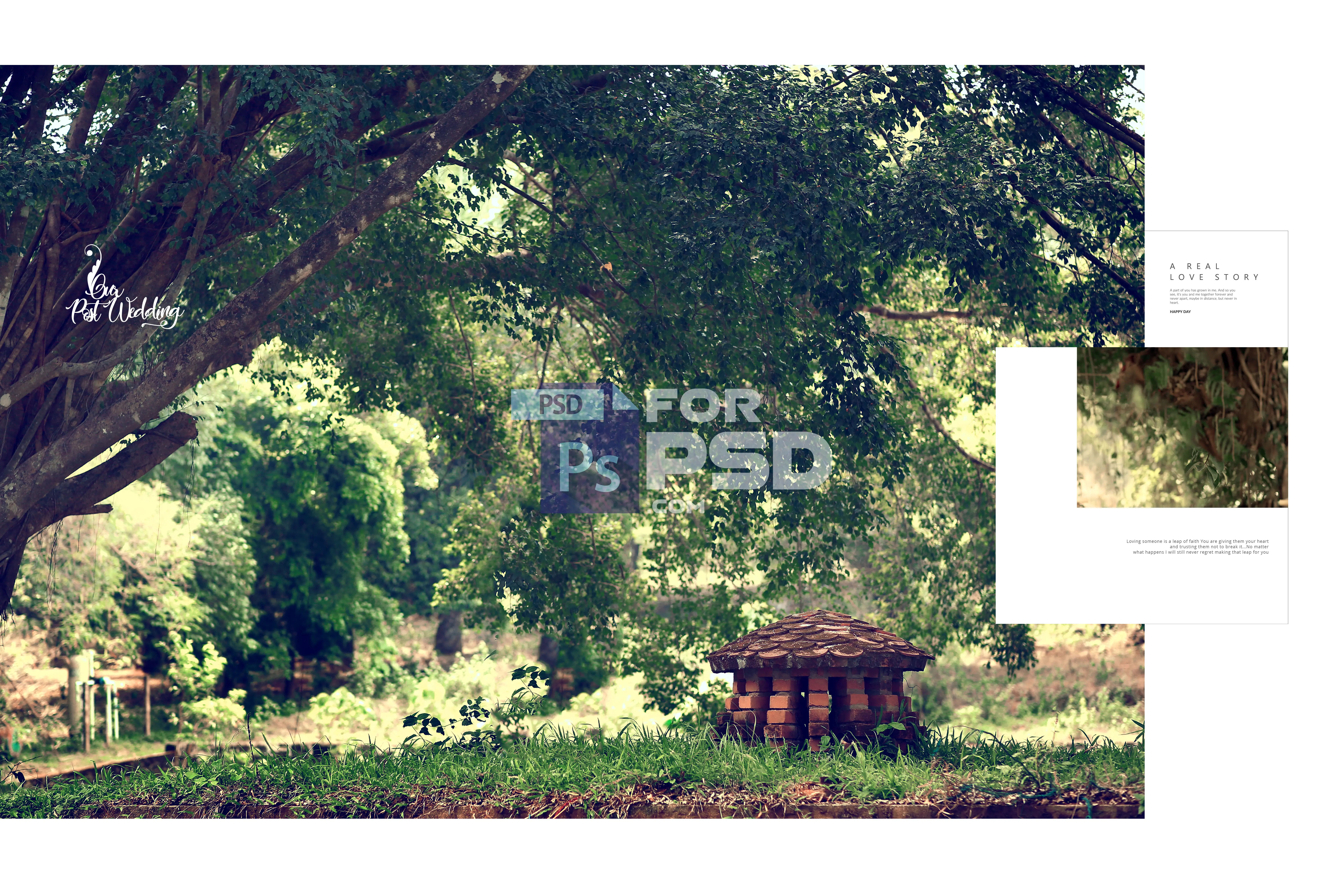 Image Preview